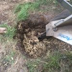 What is the Process of Stump Grinding Brisbane