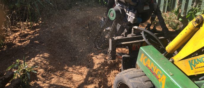 Industrial stump grinder in action, removing a tree stump in a Brisbane backyard.