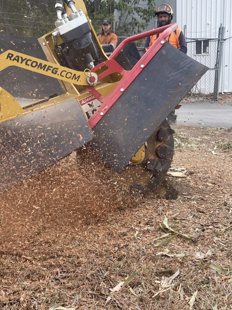 Professional stump removal in progress in a Brisbane backyard, with advanced grinding machinery efficiently breaking down a tree stump.