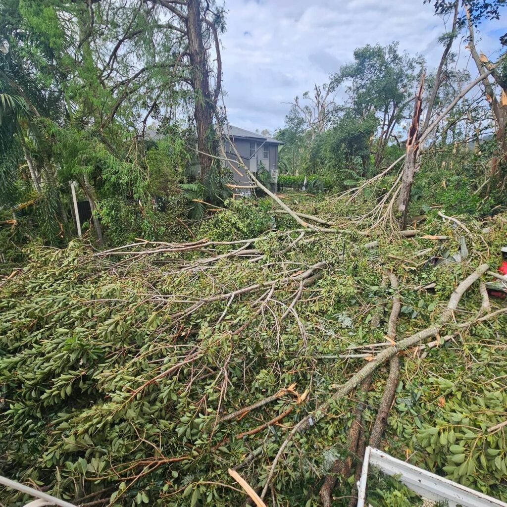 Professional arborist team efficiently removing a fallen tree post-storm in Brisbane, ensuring safety and compliance.