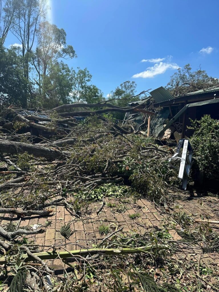 A professional team of arborists from All Sites Stump Grinding actively engaged in emergency tree removal after a severe Brisbane storm, showcasing their expertise and safety measures.