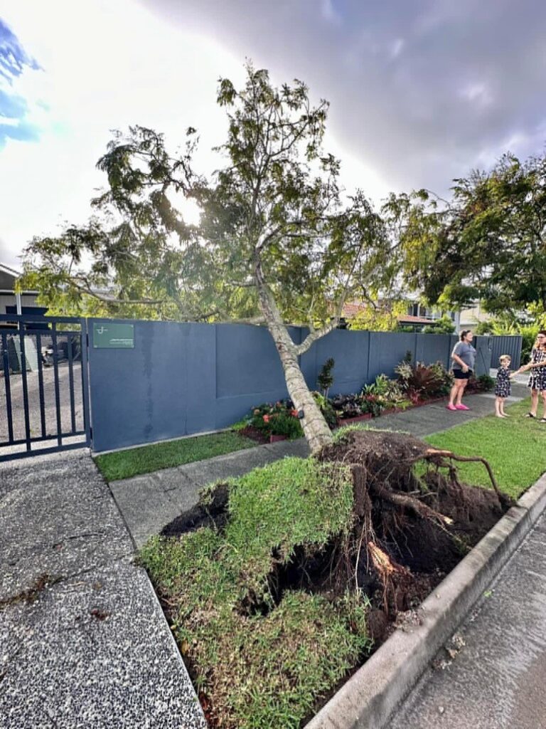 Arborist consulting with a homeowner about tree damage insurance claims post-storm in Brisbane.