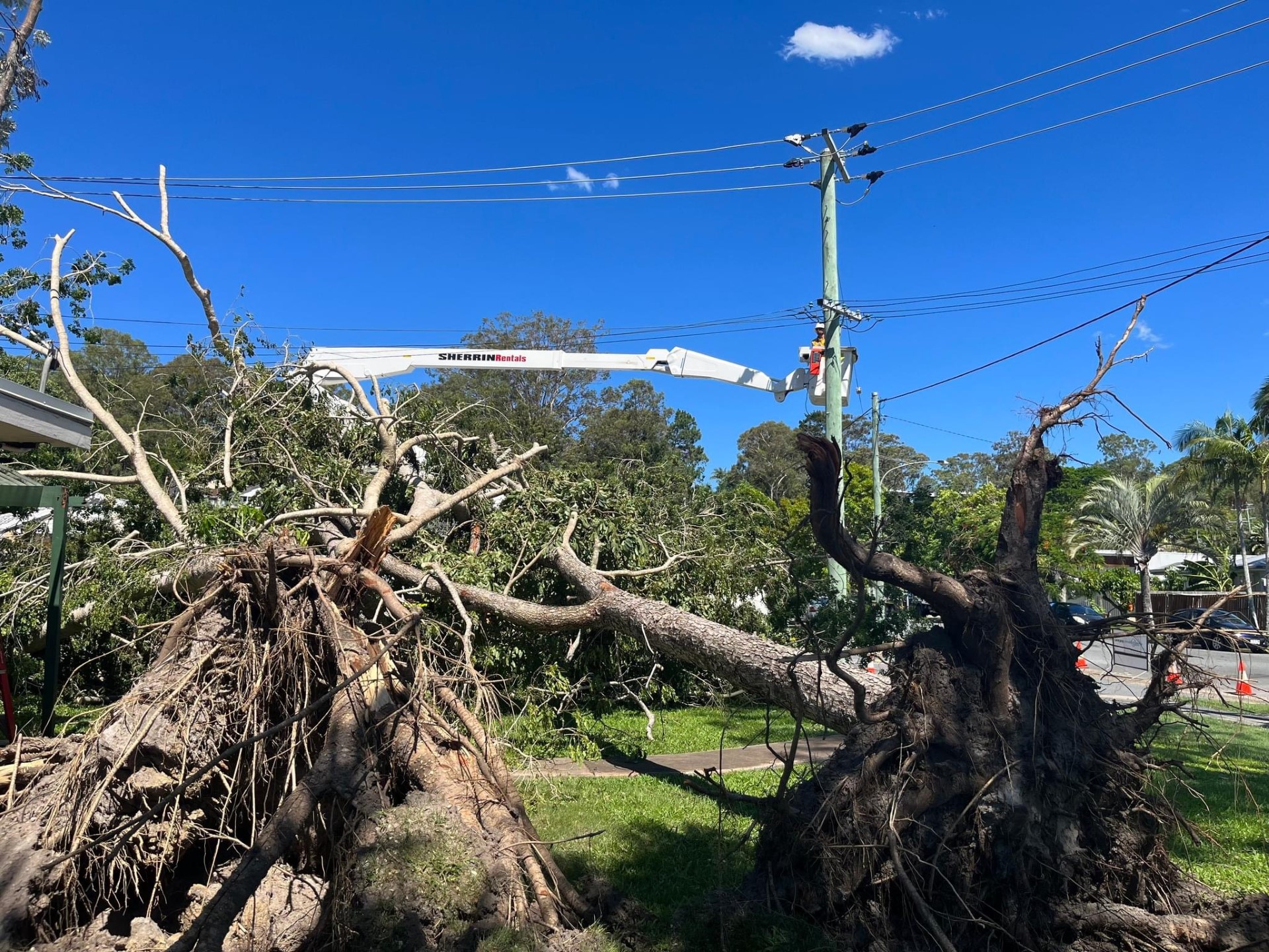 Devastated SEQ landscape post-storm showing fallen trees and emergency response teams in action