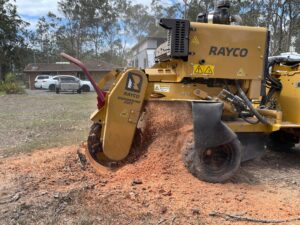 A professional arborist using a stump grinder to remove an old tree stump in a residential backyard.